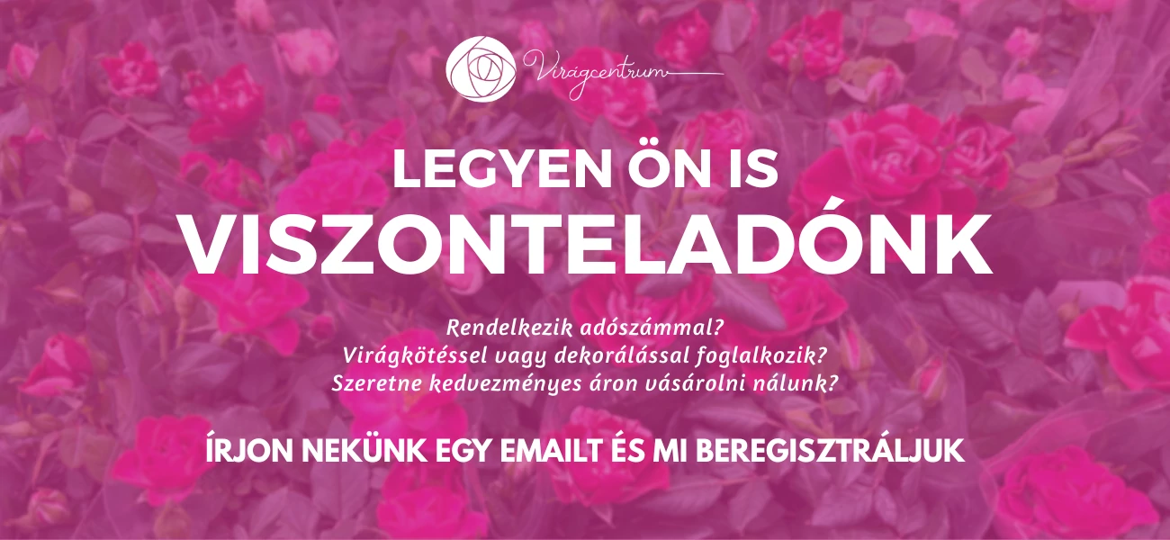 Viszonteladó