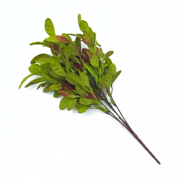 Zsálya műanyag, antik zöld
