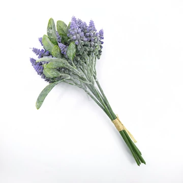 Hamvas muscari köteg