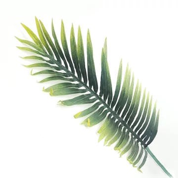 Pálmalevél selyem 54 cm