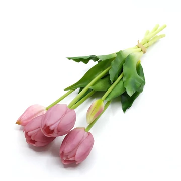 Tulipán x5 kötegelt 40 cm, mályva