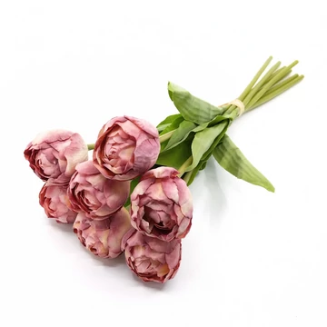 Tulipán gumi x7 kötegelt, mályva