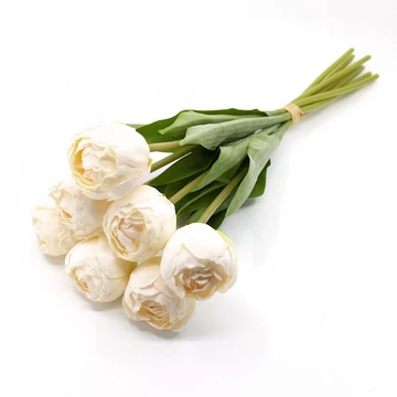 Tulipán gumi x7 kötegelt, fehér