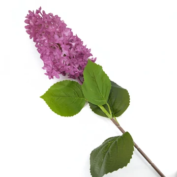 Hortenzia bugás 80 cm, lila