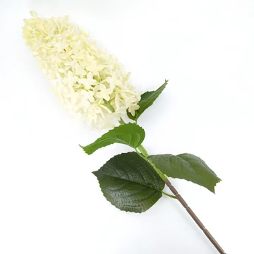 Hortenzia bugás 80 cm  SXT167714, fehér