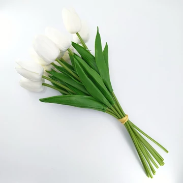 Tulipán gumi 10 szál / csokor, fehér