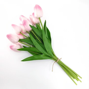Tulipán gumi 10 szál / csokor, rózsaszín-fehér