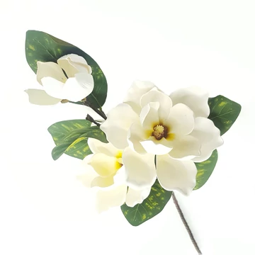 Magnólia ág x3   95 cm