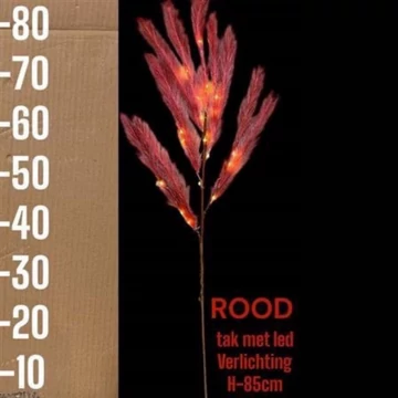 Pampafű bordó világítással 90 cm
