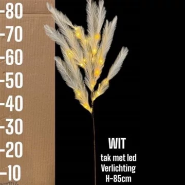 Pampafű fehér világítással 90 cm