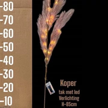 Pampafű barna világítással 90 cm