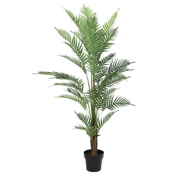 Páfrány cserépben 150 cm