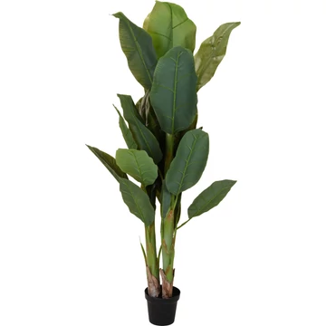 Banánfa plszatik 165 cm