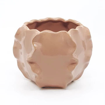 Hullámos kaspó mályva 13 cm