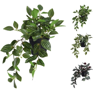 Tradescantia plasztik