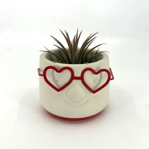 Tillandsia + szív alakú szemüveges kaspó