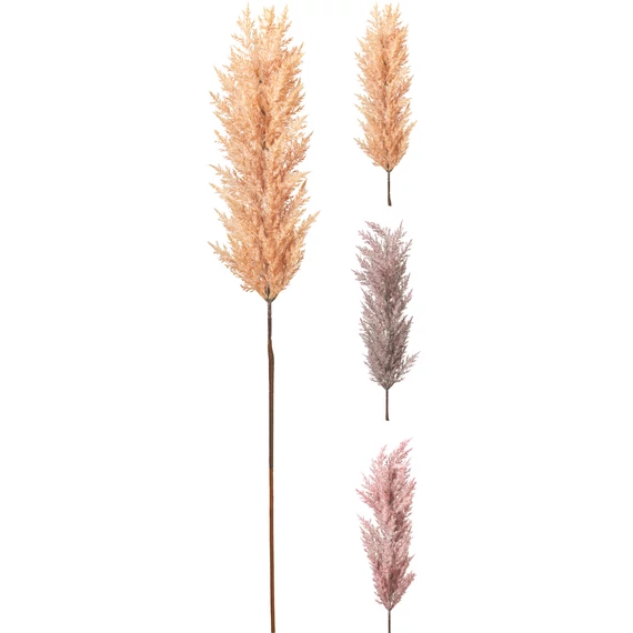 Pampafű – művirág, 107 cm