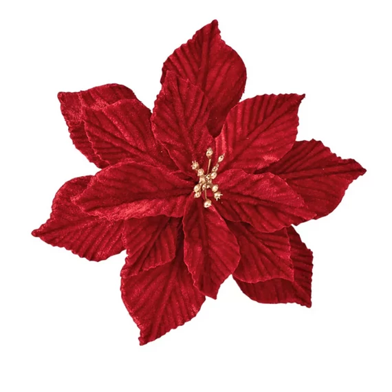 Bársony mikulásvirág 18 cm – Bordó
