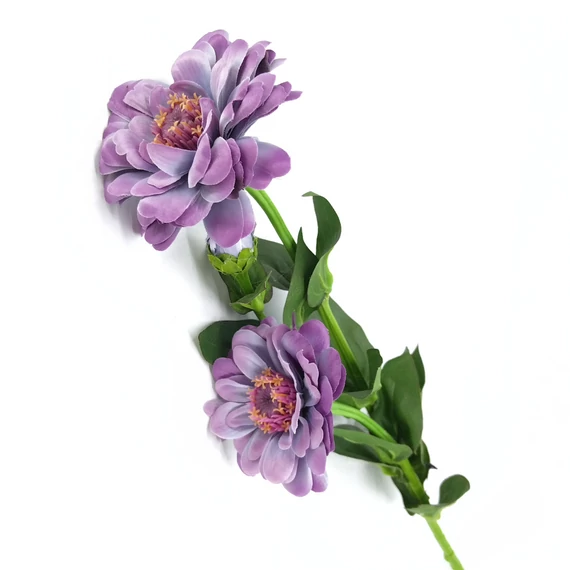 Zinnia x2 60 cm, halványlila
