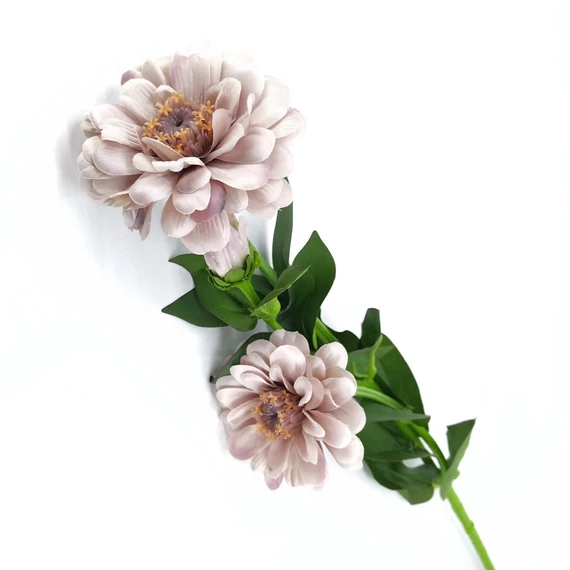 Zinnia x2 60 cm, mályva