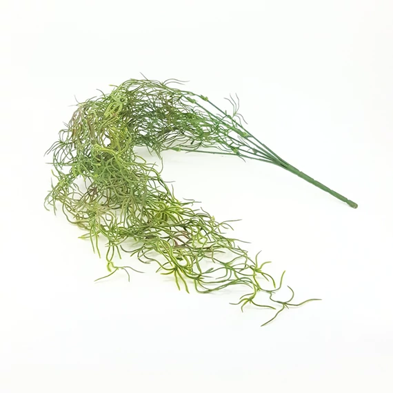Tillandsia x5 futó 90 cm