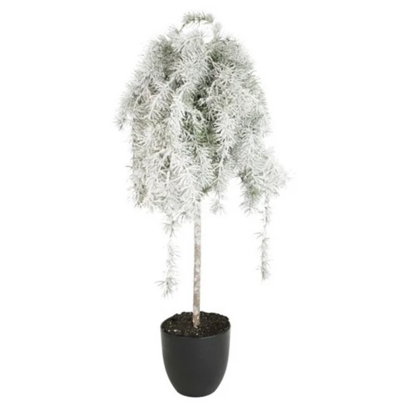 Cédrus cserépben deres műanyag 95 cm