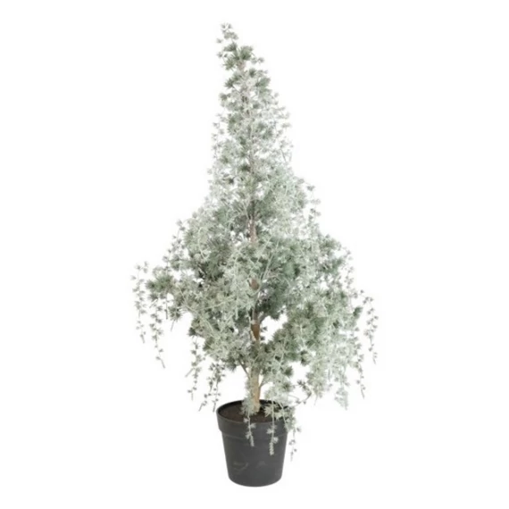 Vörösfenyő cserépben deres műanyag 120 cm