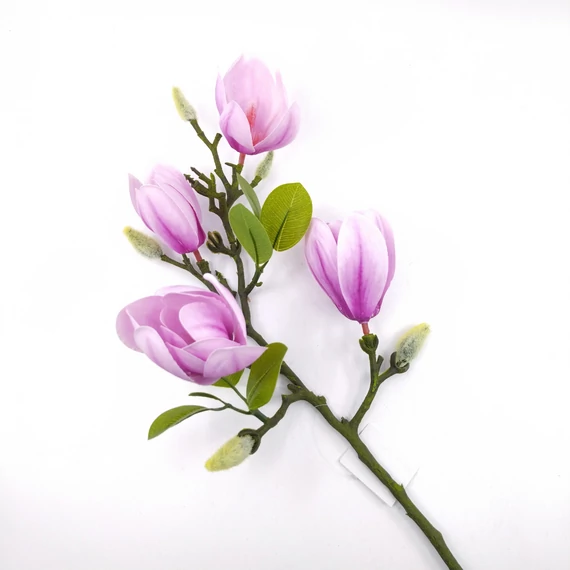 Magnolia gumi 65 cm, lila