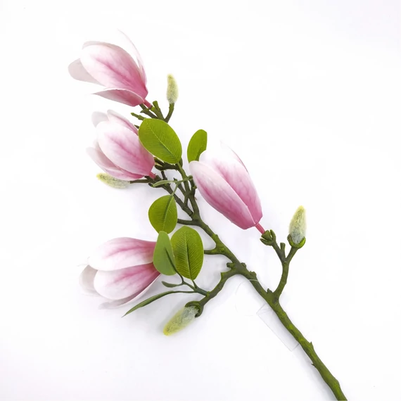 Magnolia gumi 65 cm, rózsaszín
