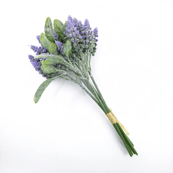 Hamvas muscari köteg