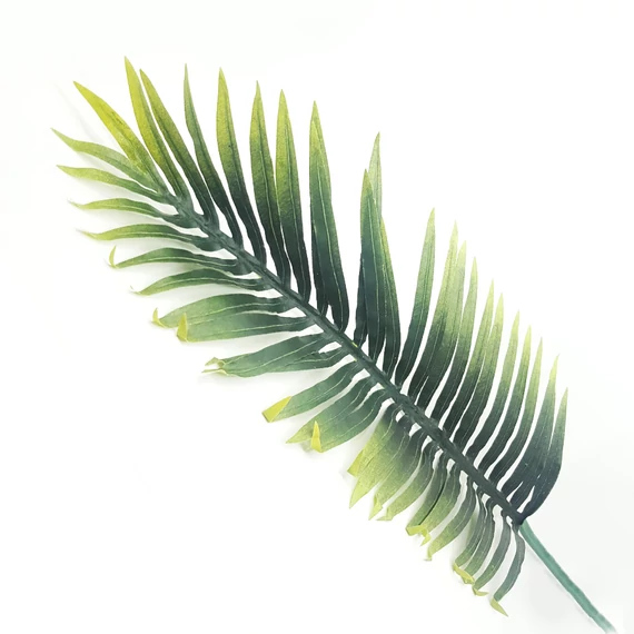 Pálmalevél selyem 54 cm