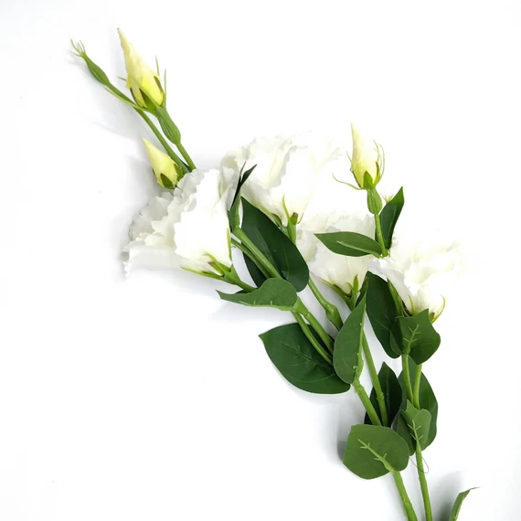 Lizianthus 3 ágas 80 cm, fehér