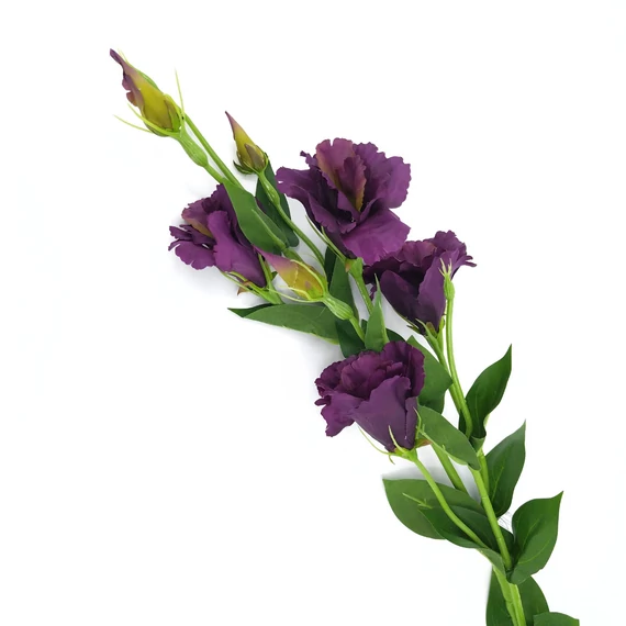 Lizianthus 3 ágas 80 cm, lila