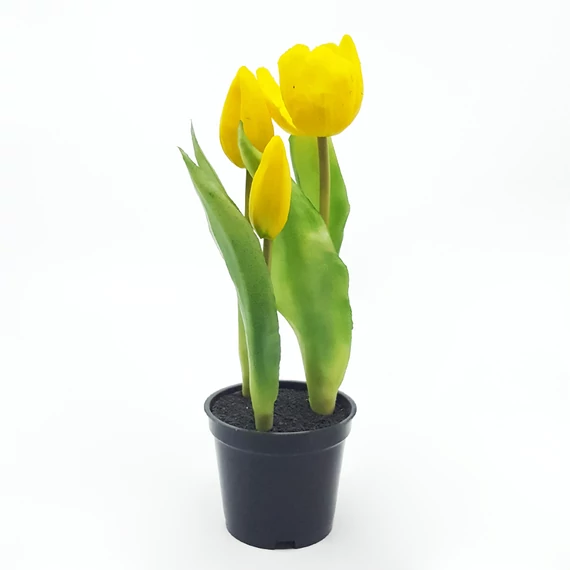Gumi tulipán cserepes