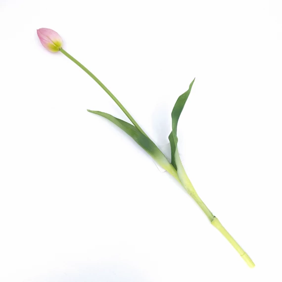 Gumi tulipán bimbós FAY139551