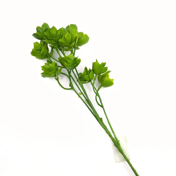 Pozsgás ág 60 cm