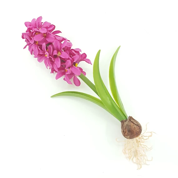 Jácint hagymás 27 cm, magenta