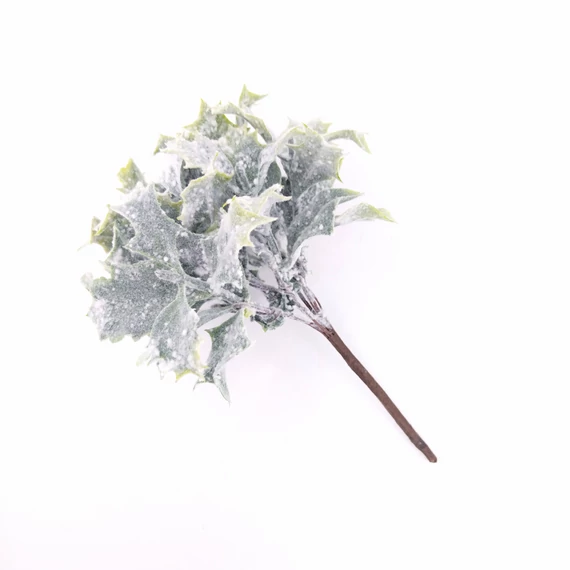 Ilex x8 havas pick 16 cm  XNQ149482