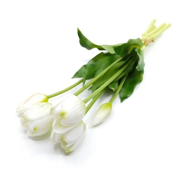 Tulipán x5 kötegelt 40 cm, fehér