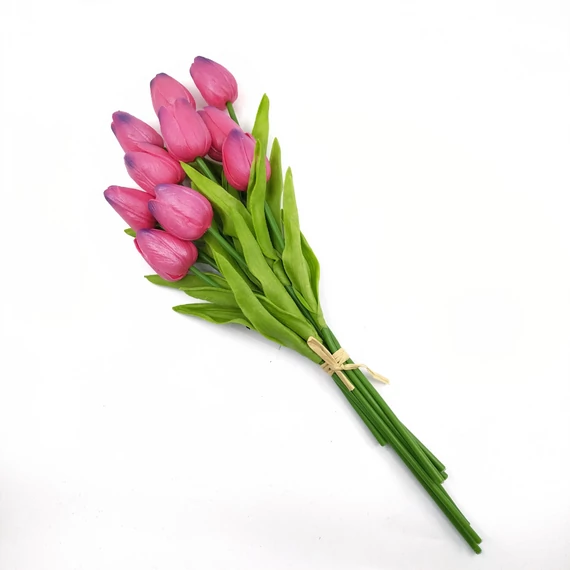 Tulipán x10 kötegelt, hot pink