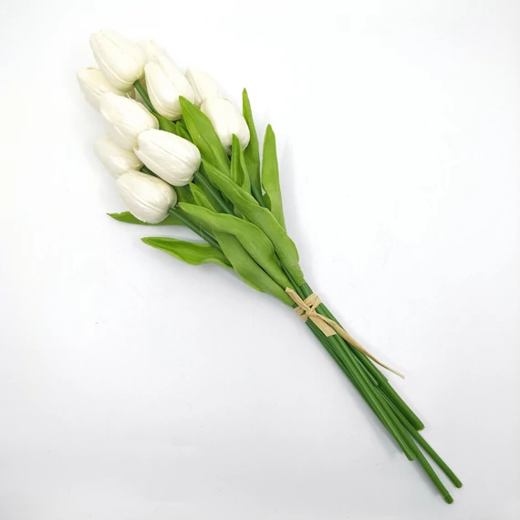 Tulipán x10 kötegelt, krém