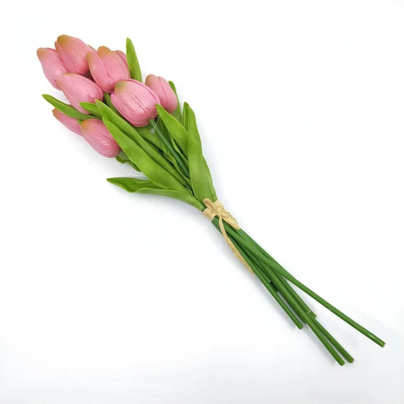 Tulipán x10 kötegelt, rózsaszín-zöld