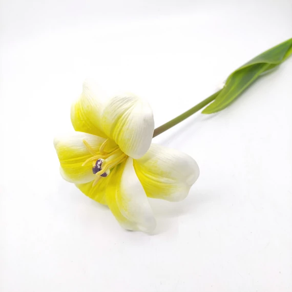 Tulipán nyílott 2 leveles 56 cm, sárga