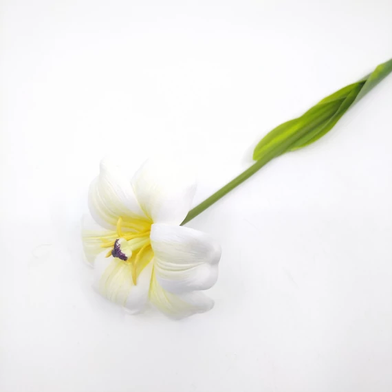 Tulipán nyílott 2 leveles 56 cm, fehér