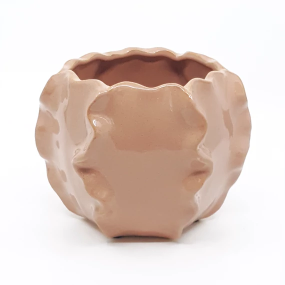 Hullámos kaspó mályva 13 cm