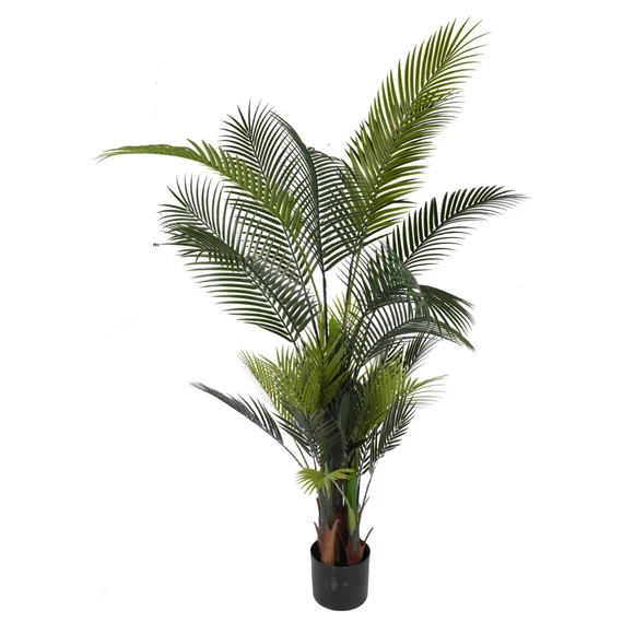 Pálma cserépben 160 cm
