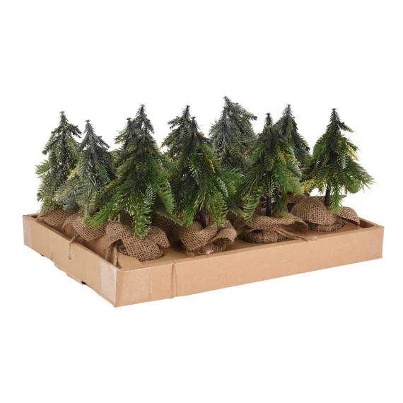 Fenyőfa cserépben 24 cm