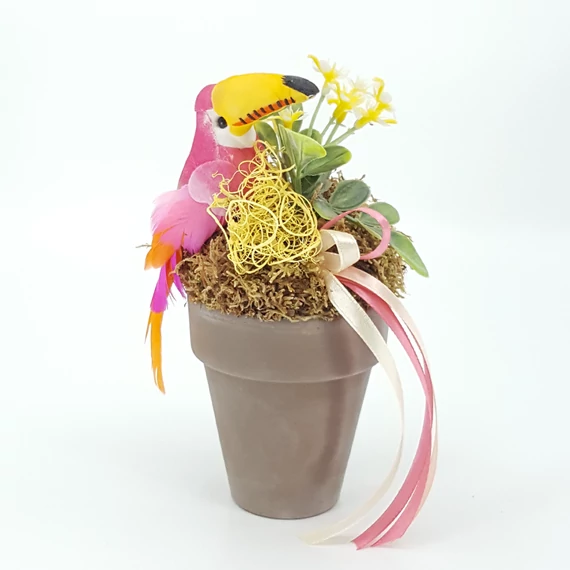 Tukán cserépben 17 cm