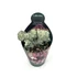Kép 1/3 - Euphorbia lactea 