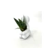 Kép 3/4 - Succulens + ölelő szobor